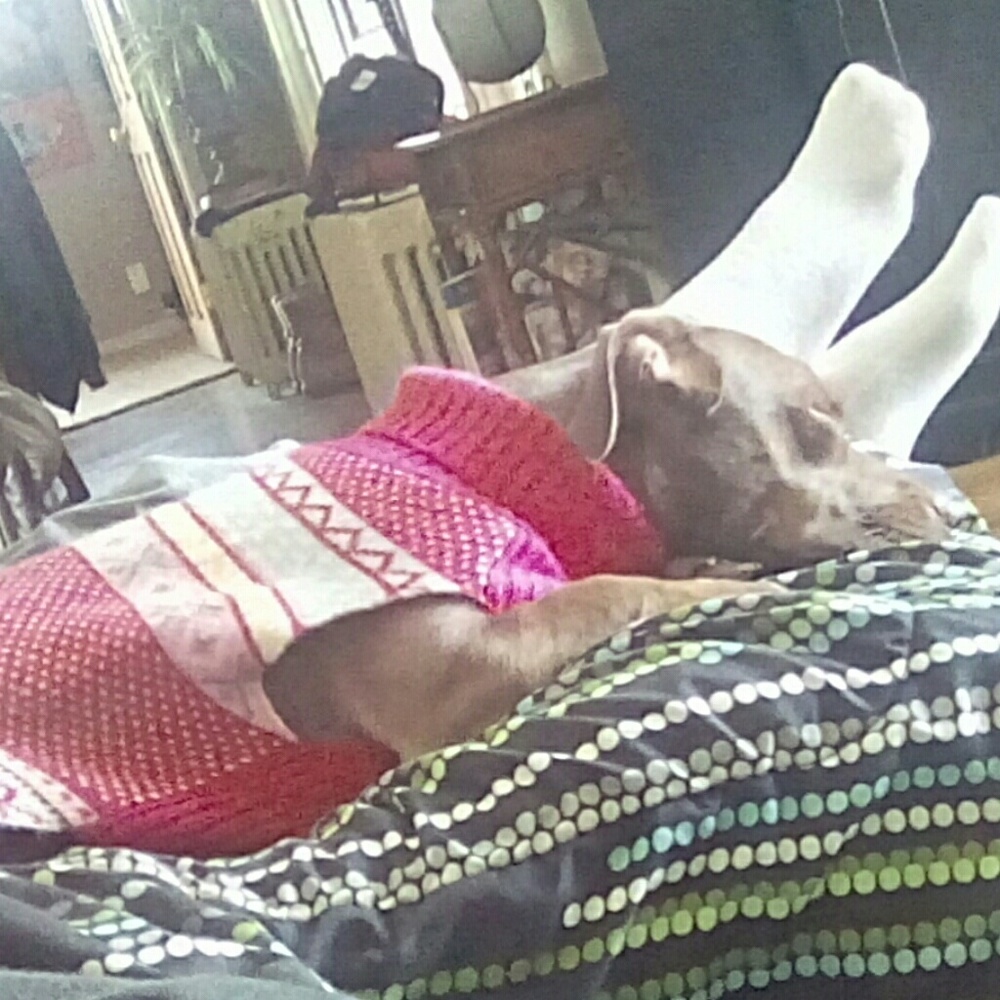 Meet your Posher, Max